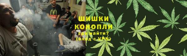 Альфа ПВП Горно-Алтайск