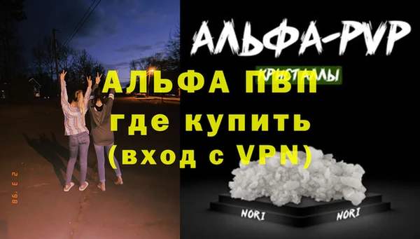 сатива Горняк
