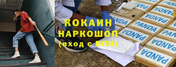 сатива Горняк