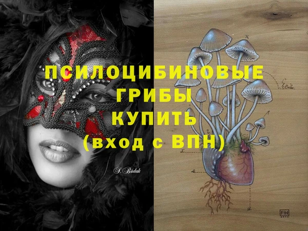 сатива Горняк