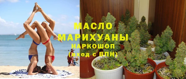 сатива Горняк
