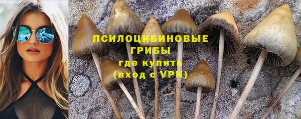 ALPHA-PVP Горнозаводск
