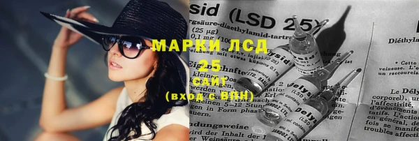 сатива Горняк